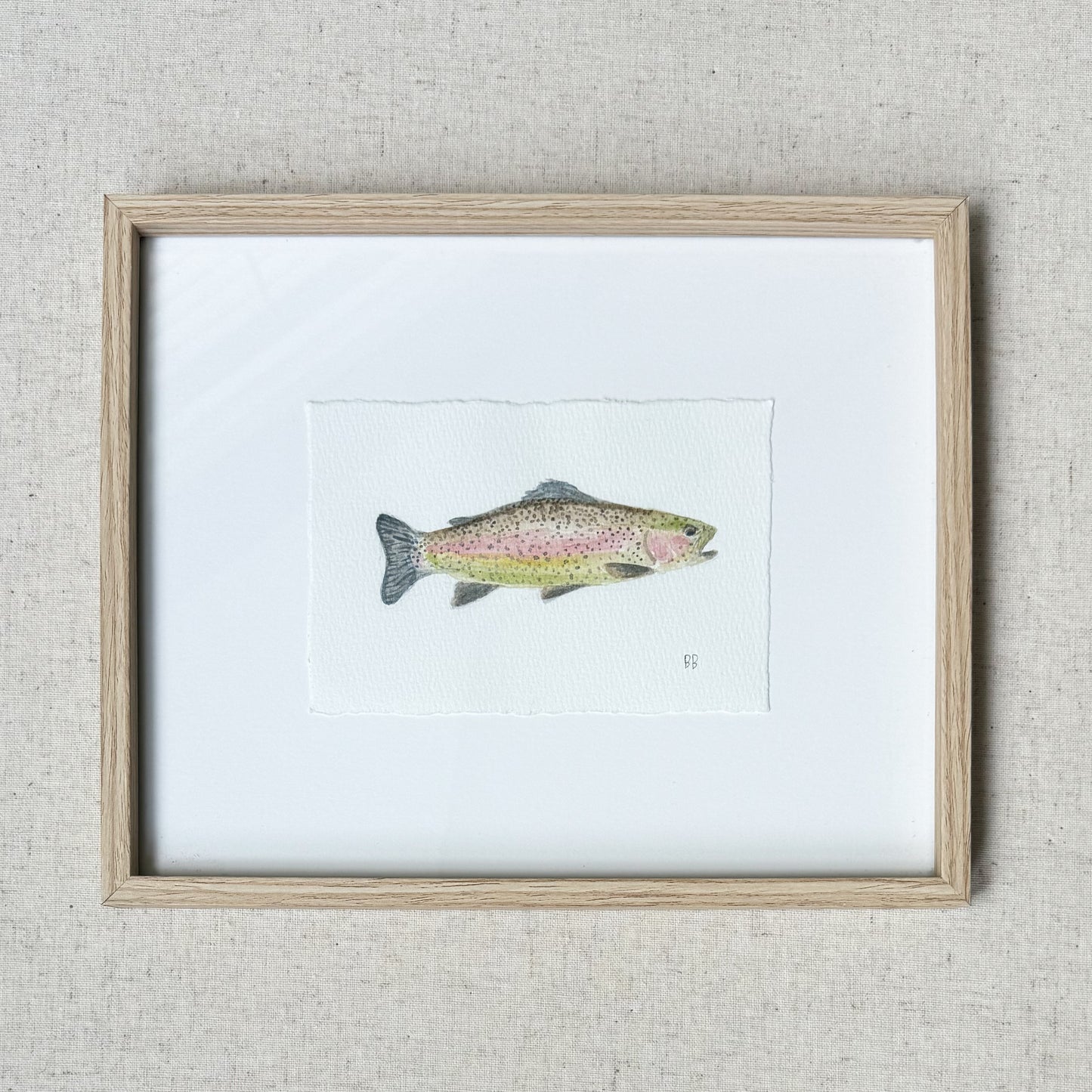 Rainbow Trout Fish Green Belly Original Framed
