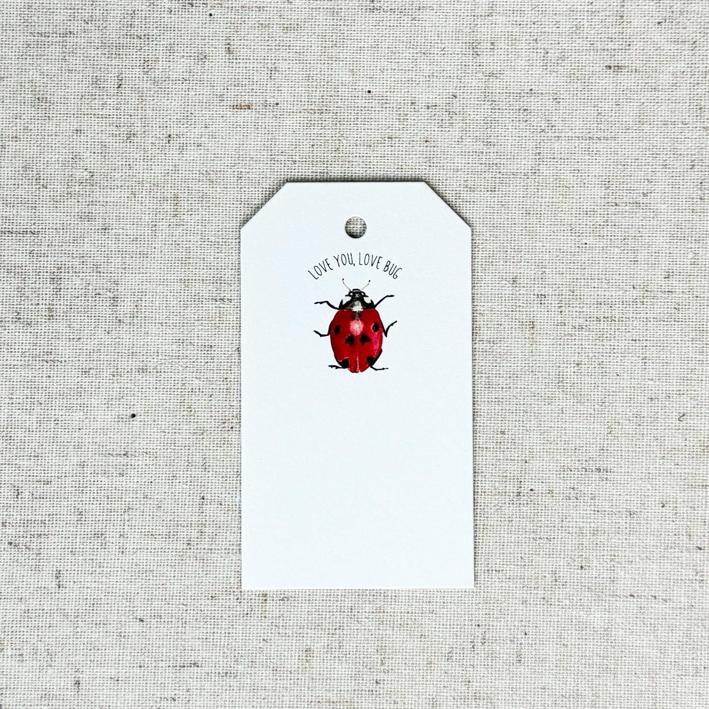 Love You Love Bug Ladybug Gift Tag | Set of 10
